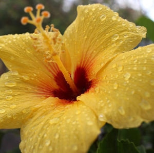 Meet your Posher, Kaia